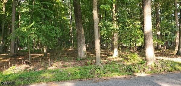 26 Acres of Land for Sale in Knowlton Township, New Jersey