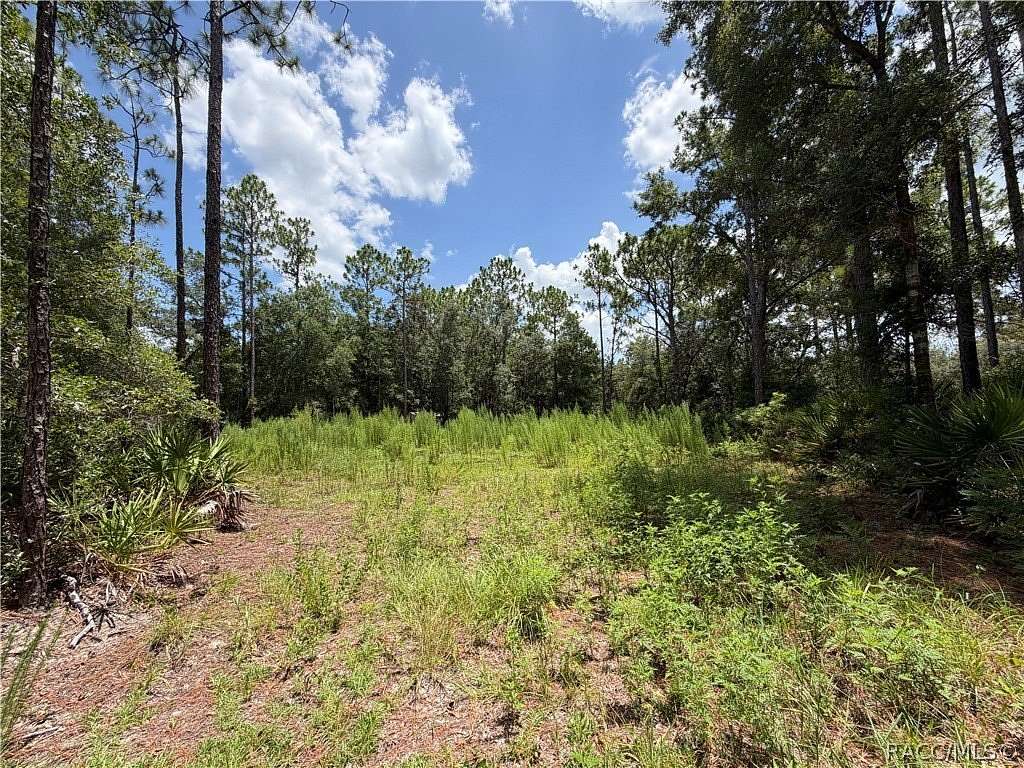0.5 Acres of Residential Land for Sale in Crystal River, Florida