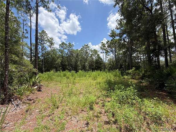 0.5 Acres of Residential Land for Sale in Crystal River, Florida