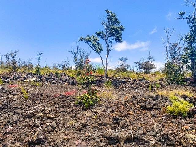 1 Acre of Land for Sale in Hawaiian Ocean View, Hawaii