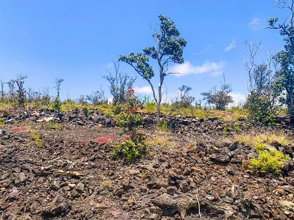 1 Acre of Land for Sale in Hawaiian Ocean View, Hawaii