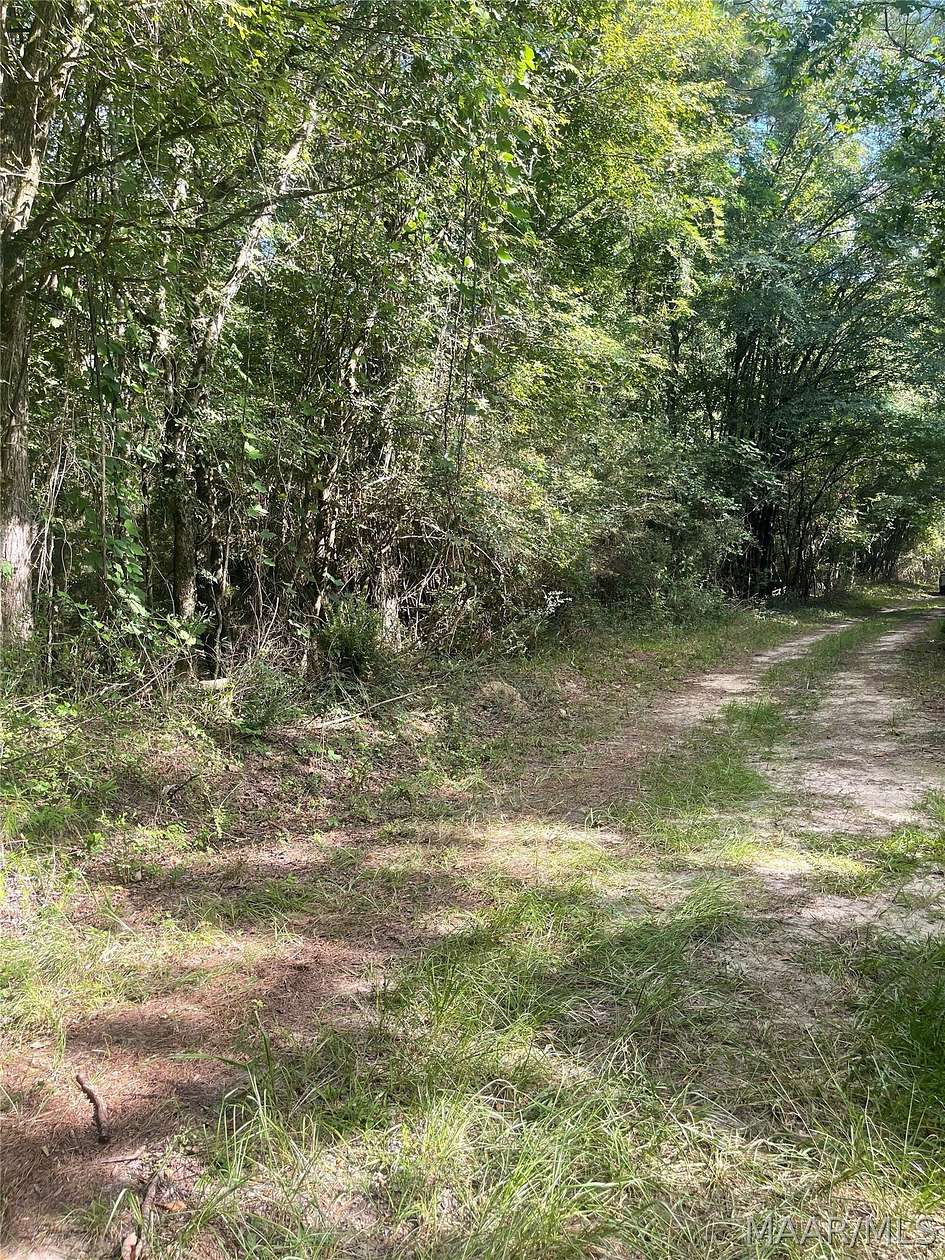 11.6 Acres of Recreational & Residential Land for Sale in Tuskegee, Alabama