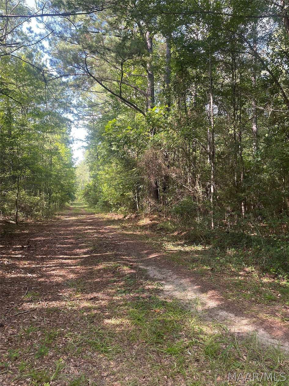 14 Acres of Recreational & Residential Land for Sale in Tuskegee, Alabama