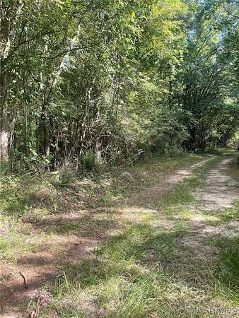11.6 Acres of Recreational & Residential Land for Sale in Tuskegee, Alabama