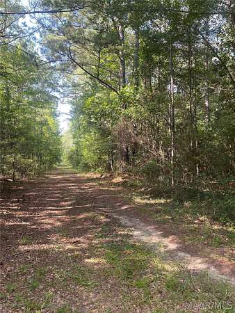 14 Acres of Recreational & Residential Land for Sale in Tuskegee, Alabama