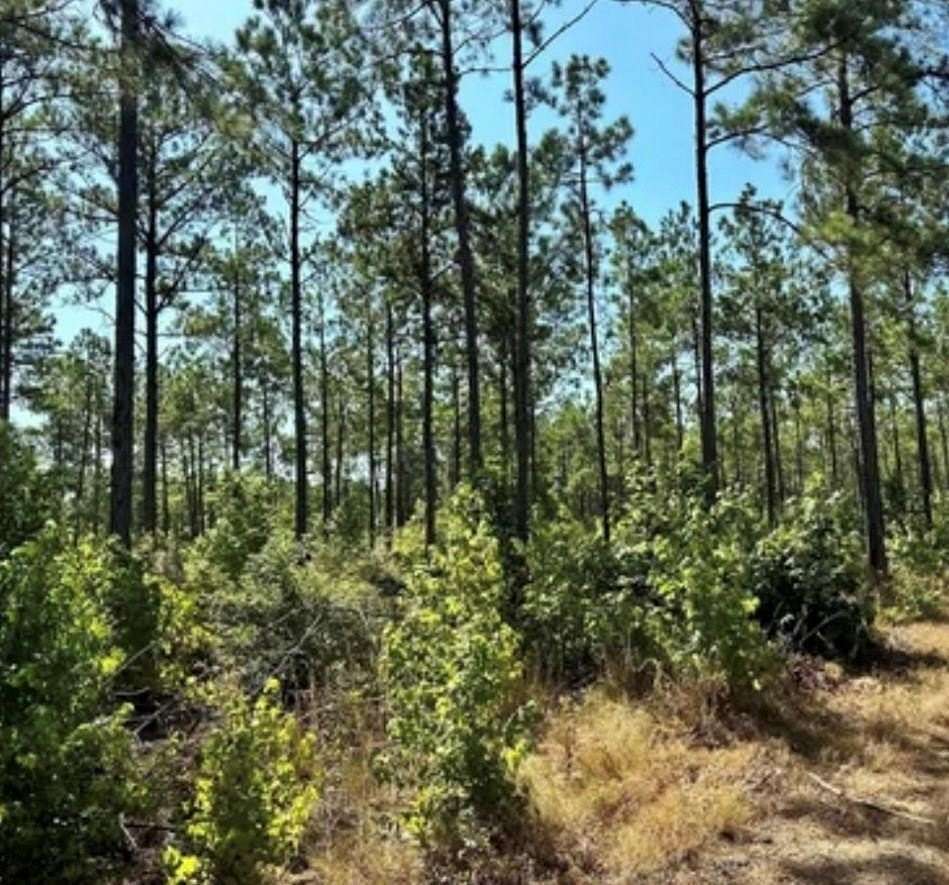 10 Acres of Land for Sale in Center, Texas