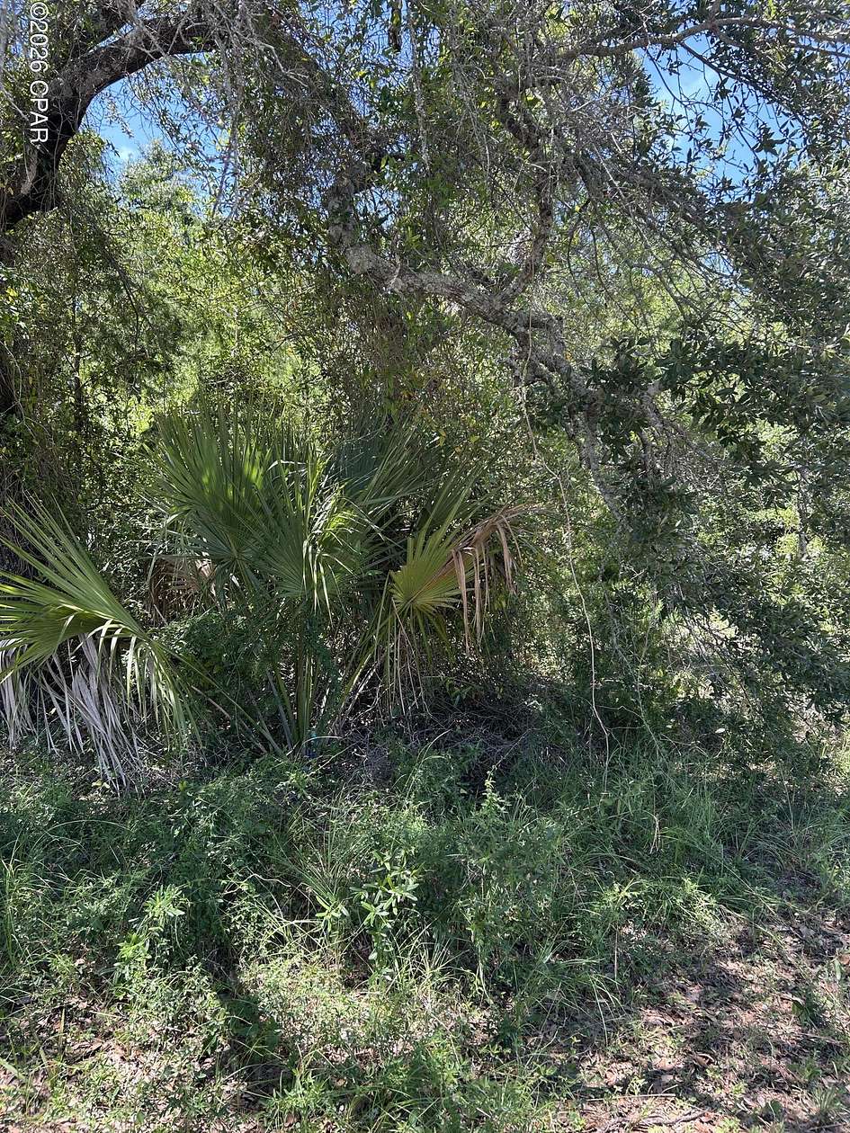 0.13 Acres of Residential Land for Sale in Panama City, Florida