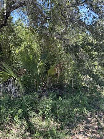 0.13 Acres of Residential Land for Sale in Panama City, Florida