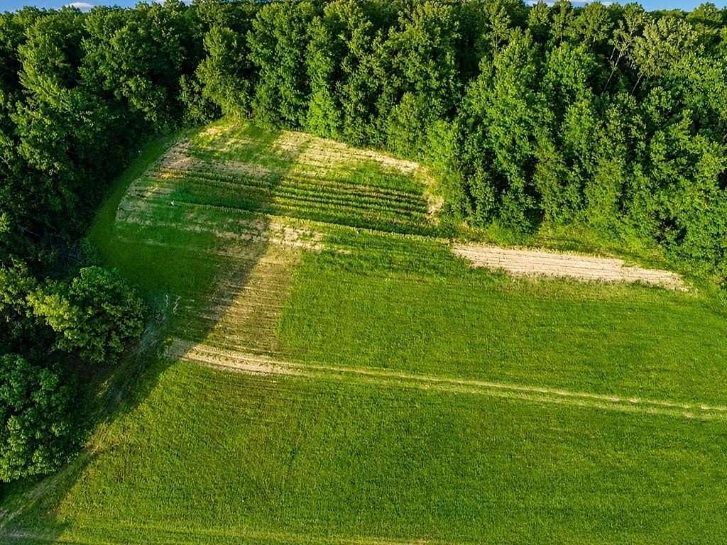 18.3 Acres of Land for Sale in Bruce, Mississippi