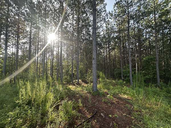 17 Acres of Land for Sale in Hohenwald, Tennessee