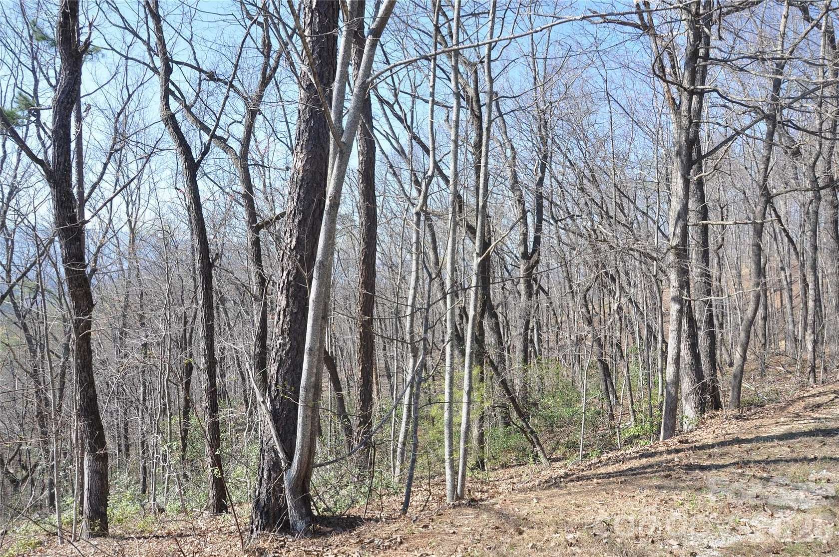 2 Acres of Residential Land for Sale in Marion, North Carolina