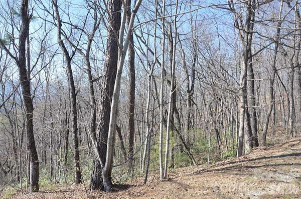 2 Acres of Residential Land for Sale in Marion, North Carolina