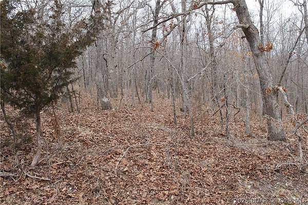 2.6 Acres of Residential Land for Sale in Edwards, Missouri