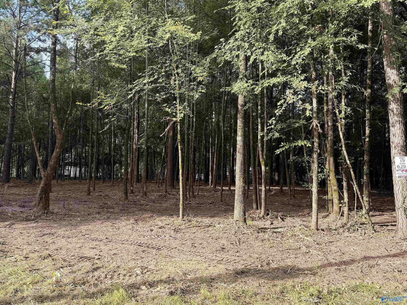 0.29 Acres of Residential Land for Sale in Centre, Alabama
