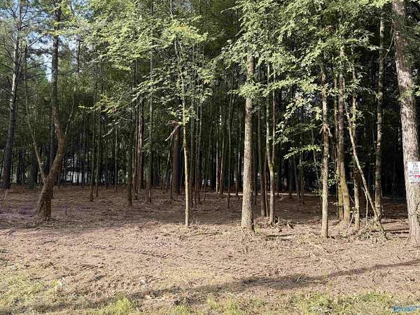 0.29 Acres of Residential Land for Sale in Centre, Alabama