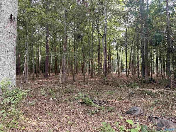 0.68 Acres of Land for Sale in Centre, Alabama