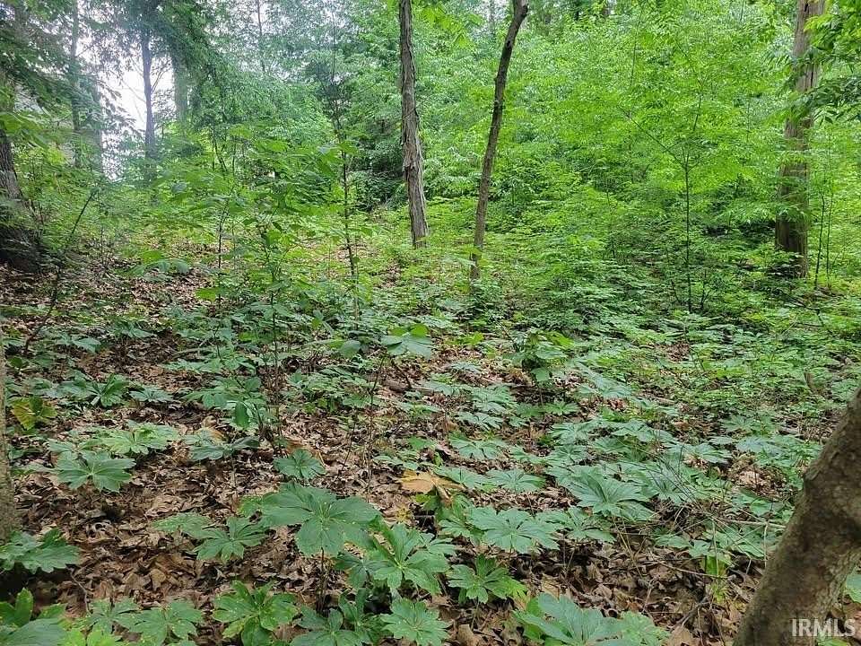 0.25 Acres of Land for Sale in Santa Claus, Indiana