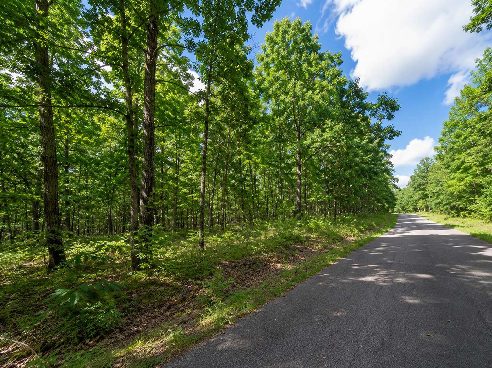 0.32 Acres of Residential Land for Sale in Horseshoe Bend, Arkansas