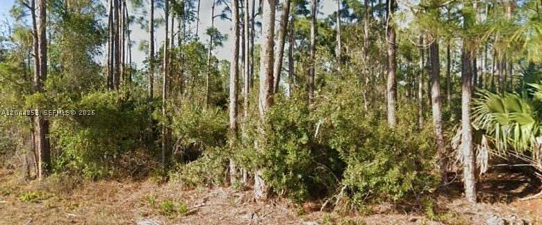 0.18 Acres of Residential Land for Sale in Punta Gorda, Florida