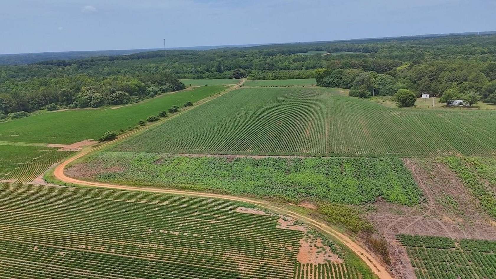 10 Acres of Land for Sale in Gaston, North Carolina