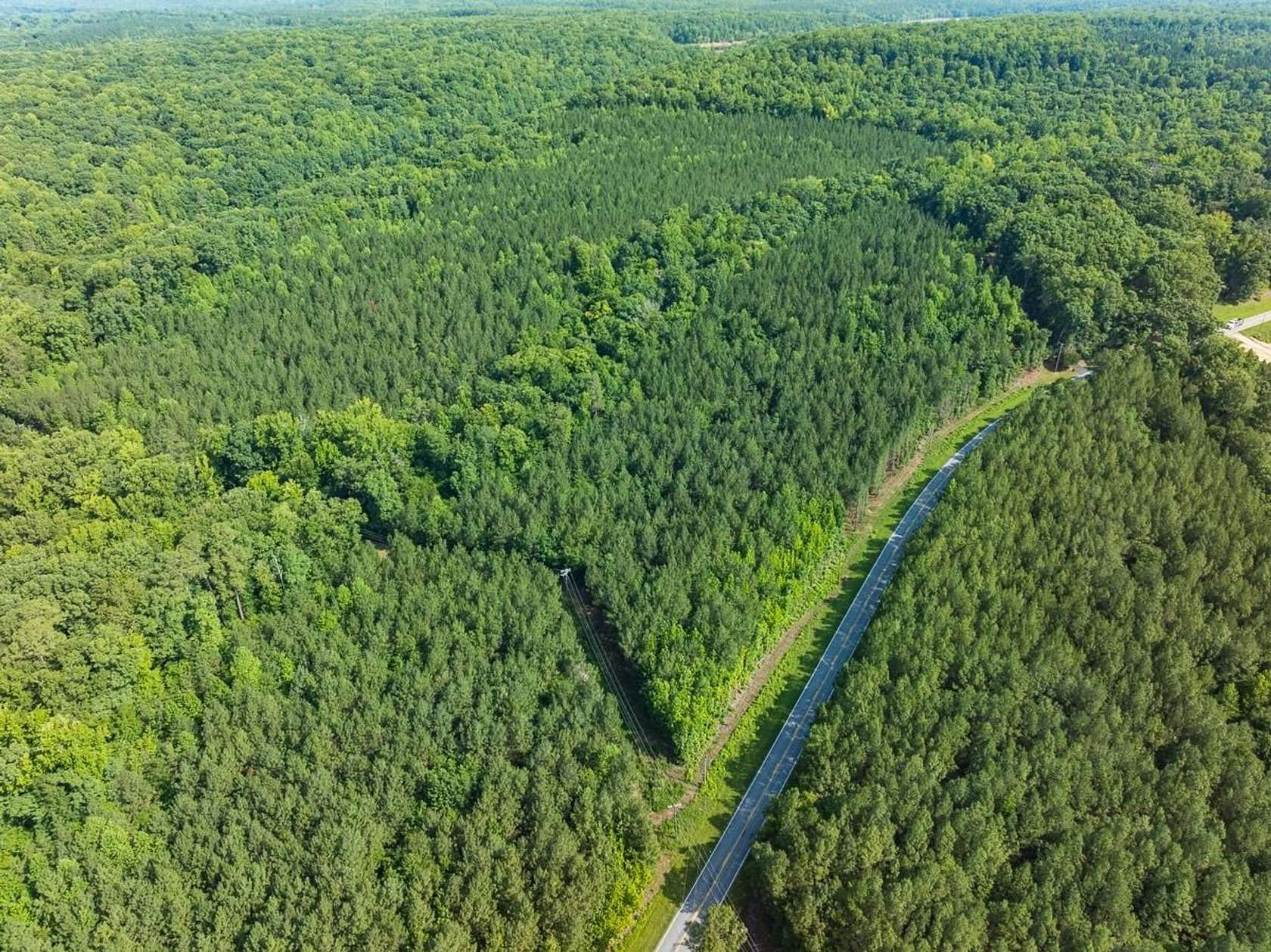 21.7 Acres of Recreational Land for Sale in Bahama, North Carolina