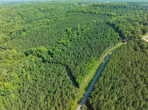 21.7 Acres of Recreational Land for Sale in Bahama, North Carolina