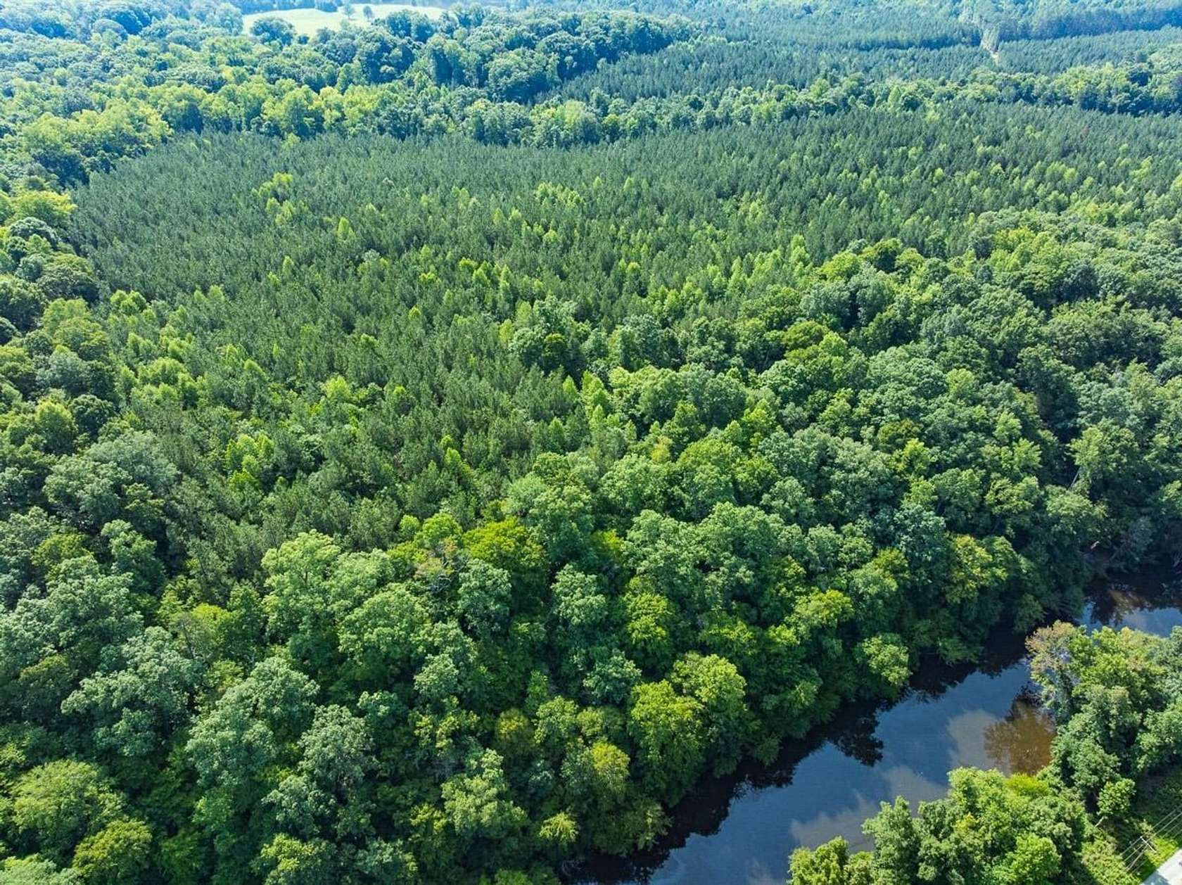 32.7 Acres of Recreational & Residential Land for Sale in Bahama, North Carolina