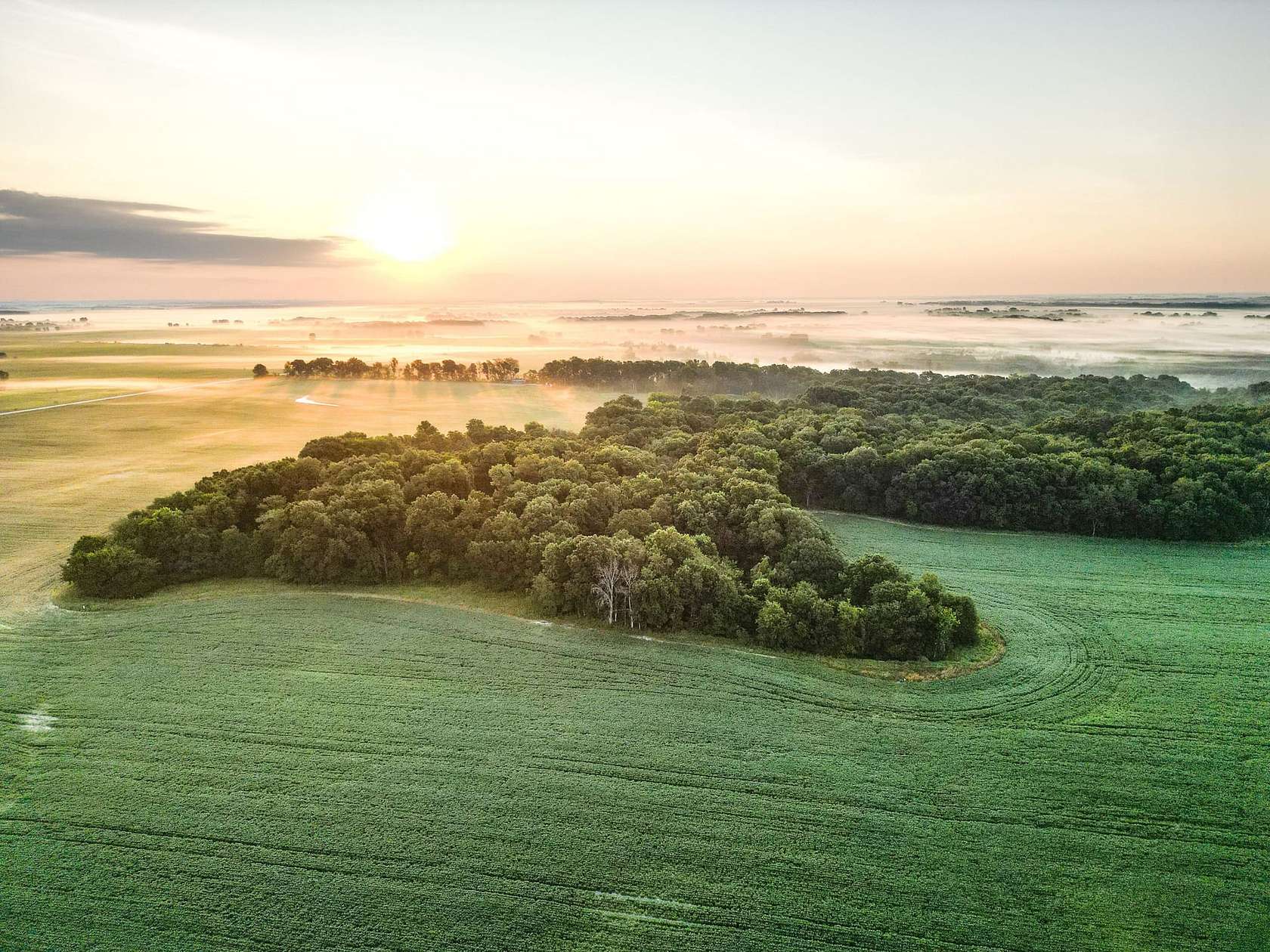 183 Acres of Land for Sale in Plymouth, Illinois