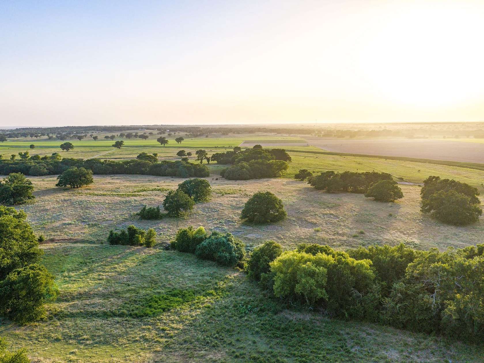 264 Acres of Land for Sale in Boyd, Texas