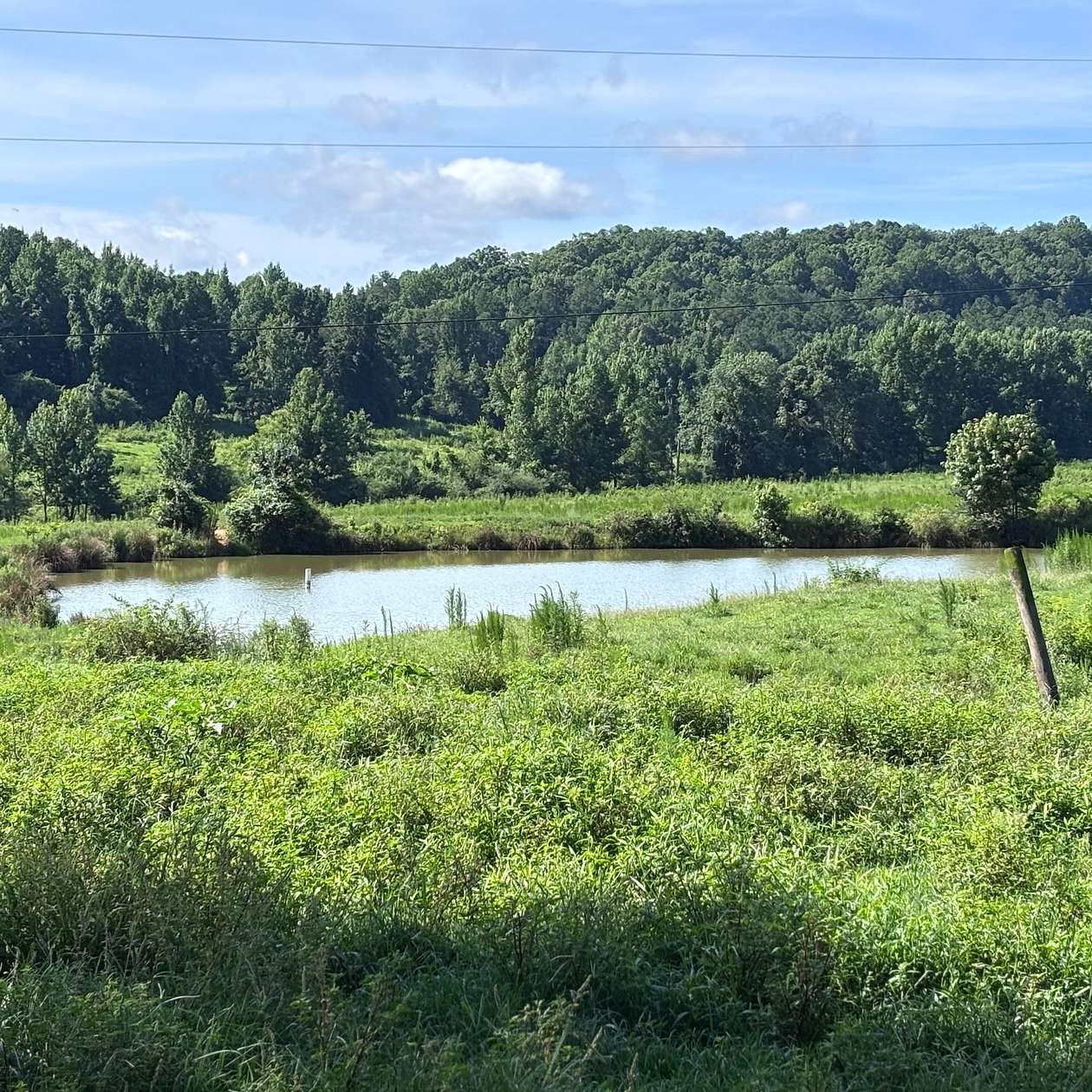 97 Acres of Land for Sale in Valley Head, Alabama