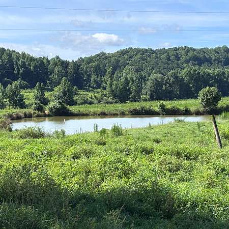 97 Acres of Land for Sale in Valley Head, Alabama