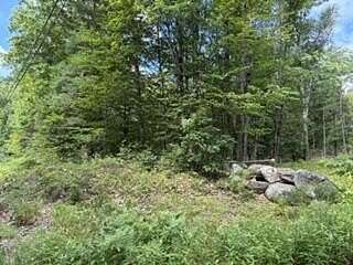 21 Acres of Recreational & Residential Land for Sale in Lewiston, Maine