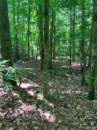 9.72 Acres of Land for Sale in Fredericktown, Missouri