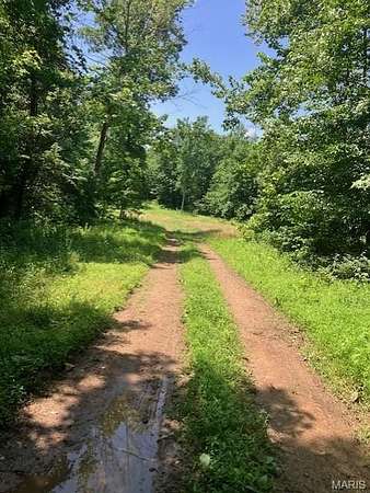 17 Acres of Recreational & Residential Land for Sale in Fredericktown, Missouri