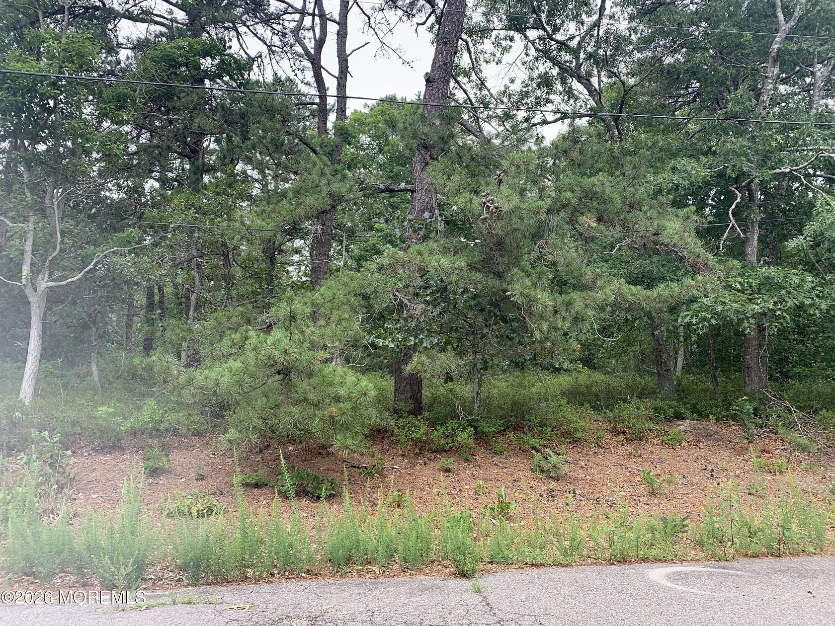 0.3 Acres of Residential Land for Sale in Eagleswood Village, New Jersey