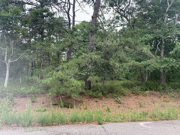 0.3 Acres of Residential Land for Sale in Eagleswood Village, New Jersey