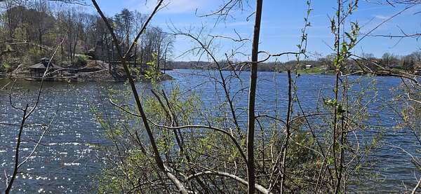 1 Acre of Residential Land for Sale in Goodview, Virginia