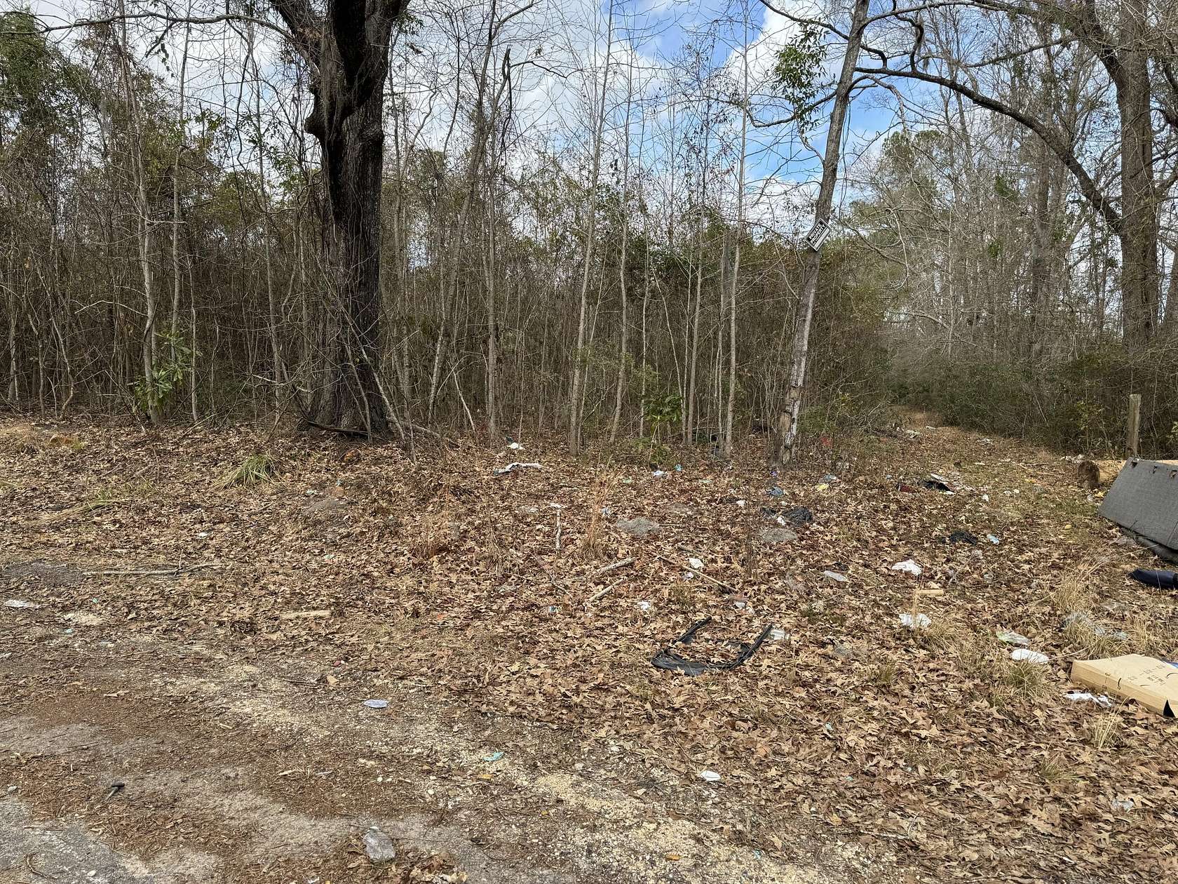 25 Acres of Land for Sale in Hollywood, South Carolina