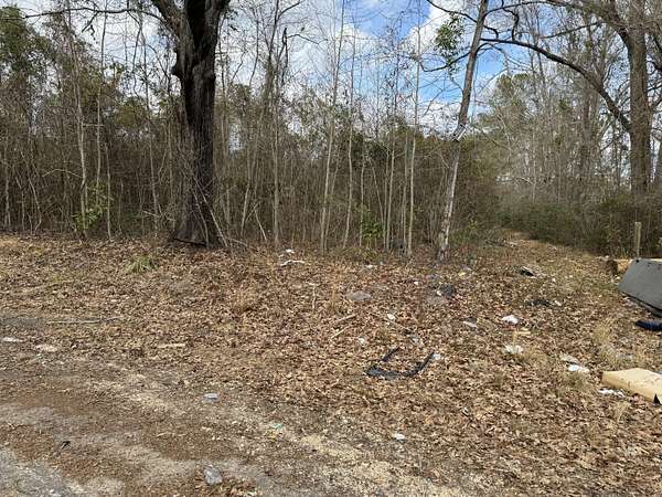 25 Acres of Land for Sale in Hollywood, South Carolina