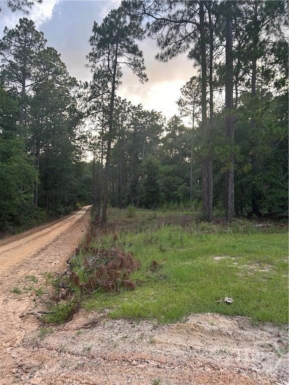 7 Acres of Residential Land for Sale in Twin City, Georgia
