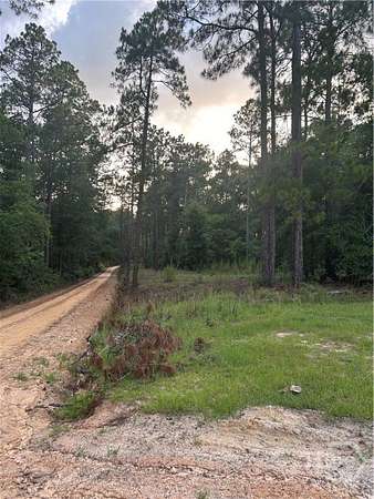 7 Acres of Residential Land for Sale in Twin City, Georgia