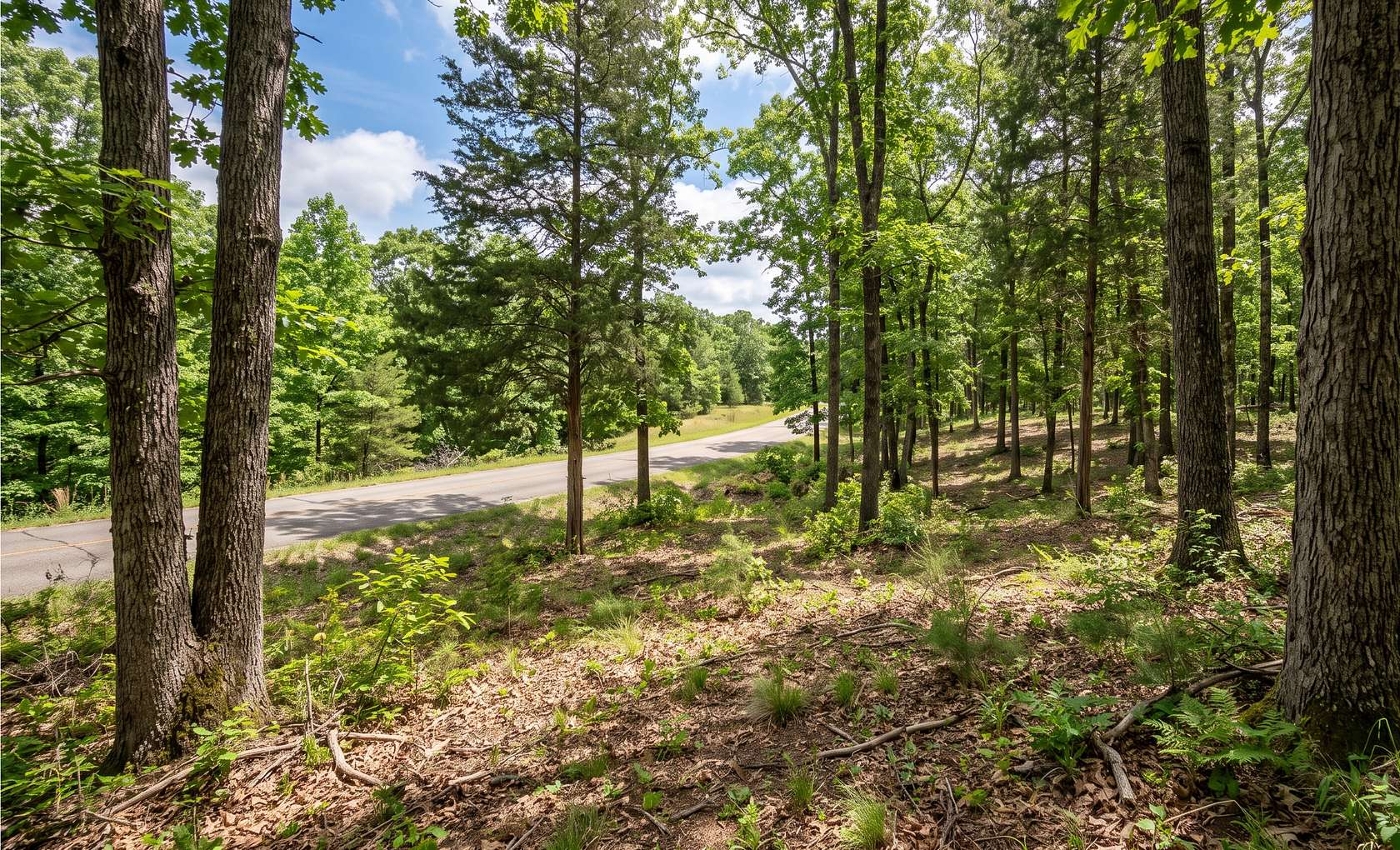 0.33 Acres of Residential Land for Sale in Horseshoe Bend, Arkansas