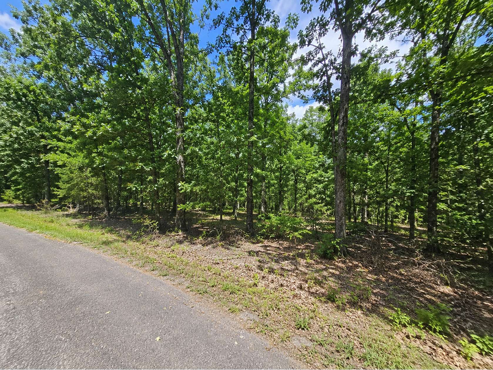 0.33 Acres of Residential Land for Sale in Horseshoe Bend, Arkansas