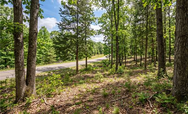 0.33 Acres of Residential Land for Sale in Horseshoe Bend, Arkansas