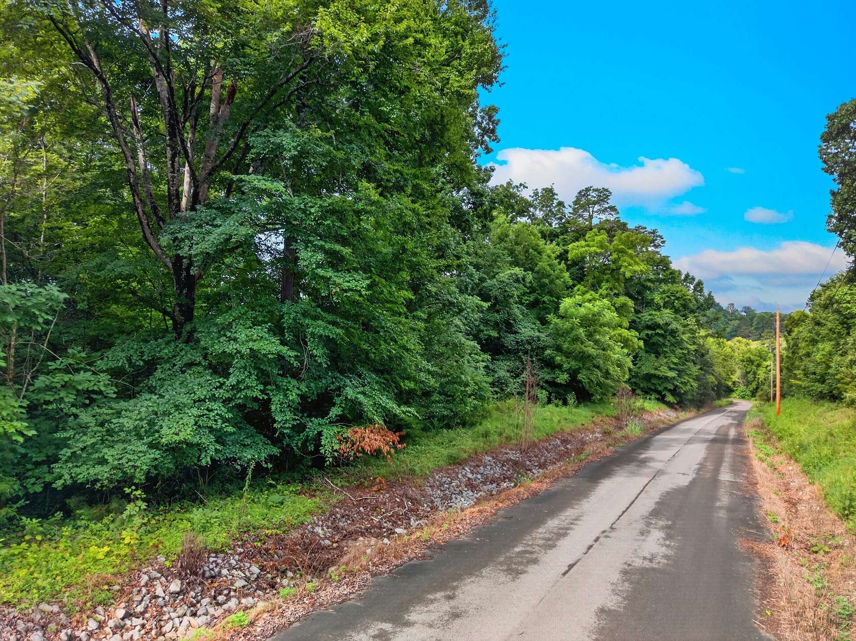 30 Acres of Agricultural & Residential Land for Sale in New Market, Tennessee
