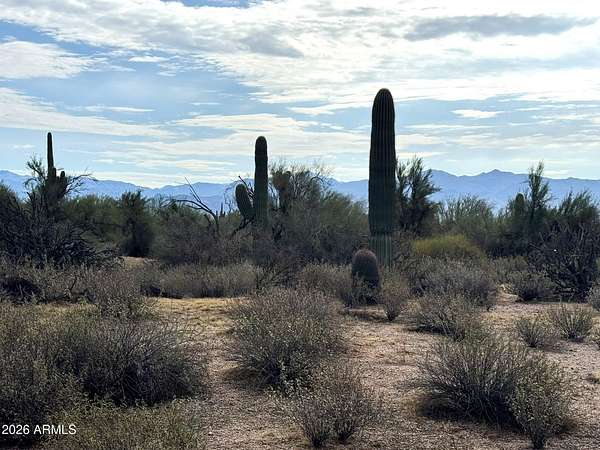 1.14 Acres of Residential Land for Sale in Scottsdale, Arizona