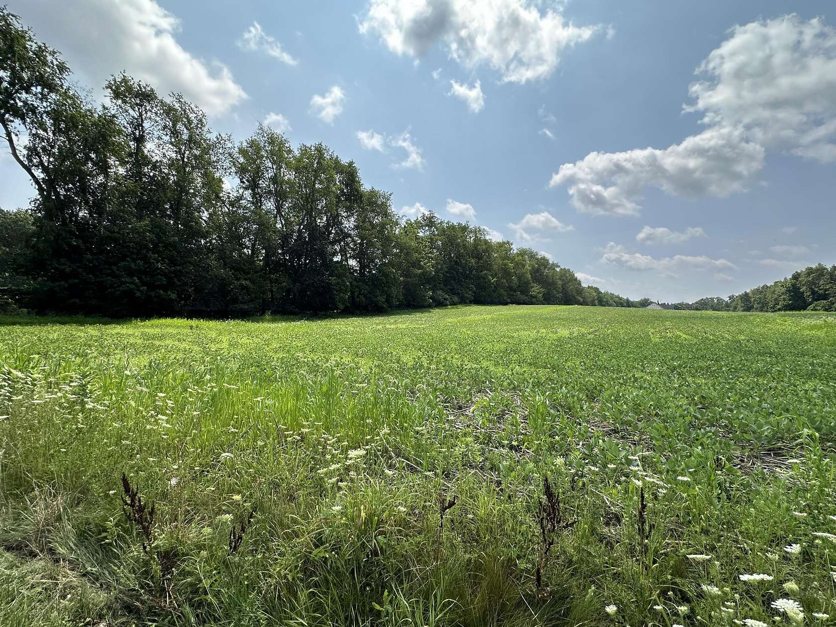 2 Acres of Residential Land for Sale in Niles, Michigan