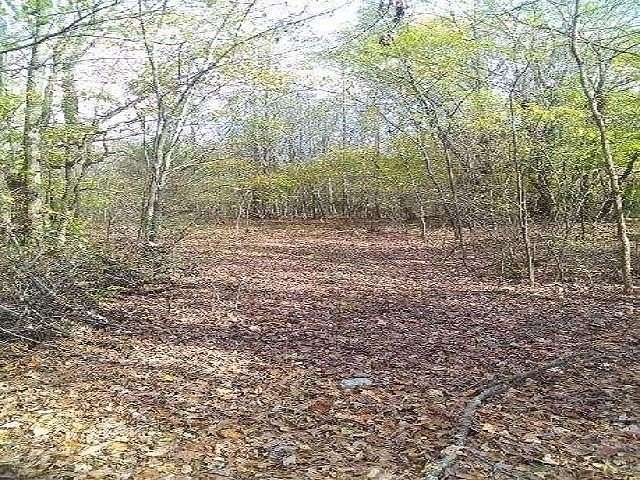 9.5 Acres of Residential Land for Sale in Millington, Tennessee