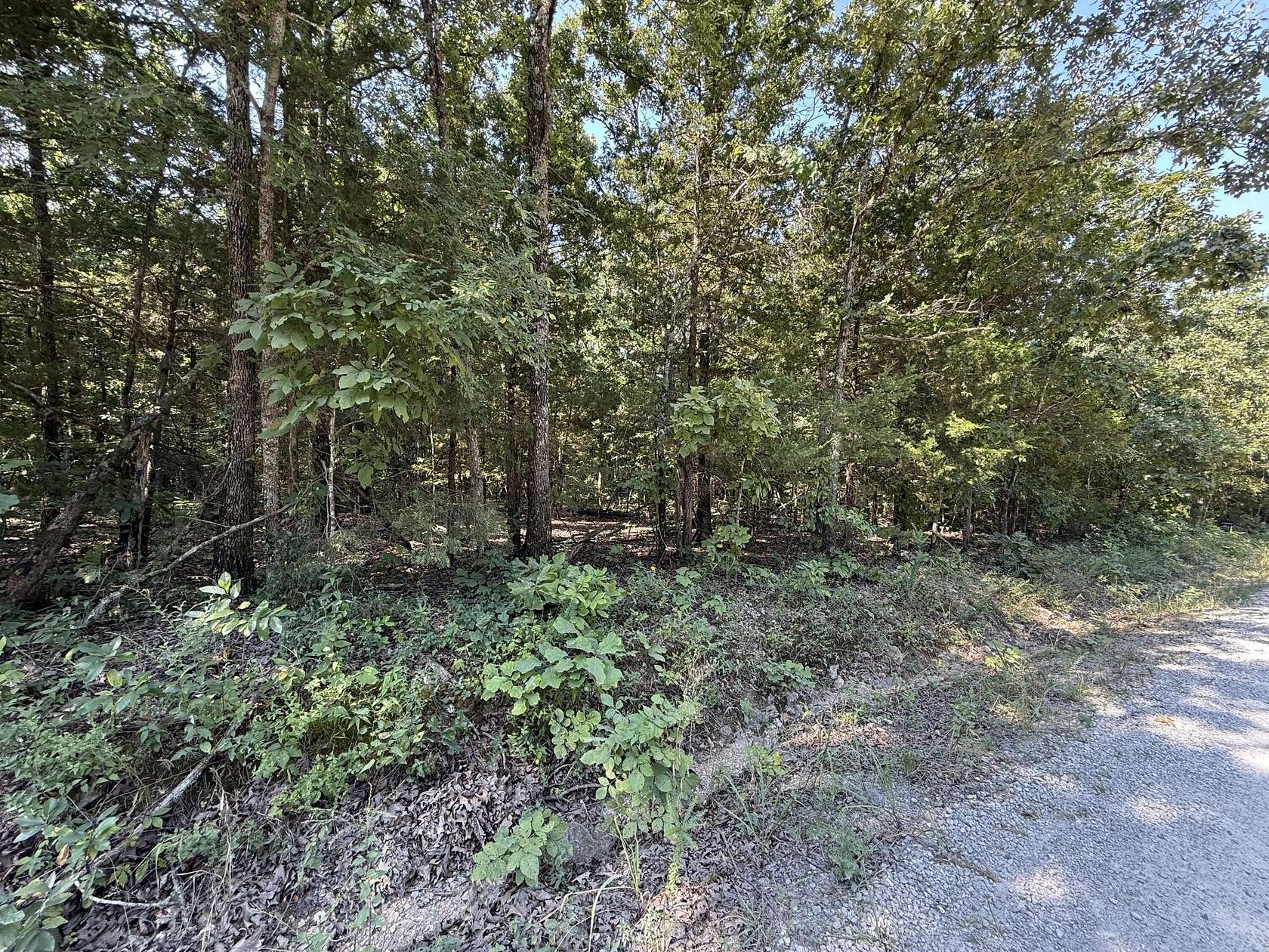 16.3 Acres of Land for Sale in Shell Knob, Missouri