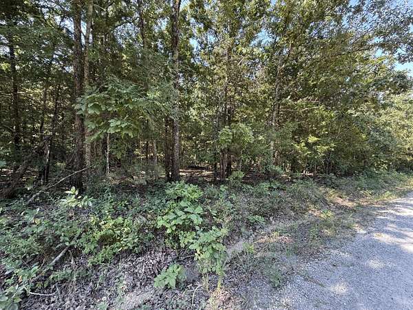 16.3 Acres of Land for Sale in Shell Knob, Missouri